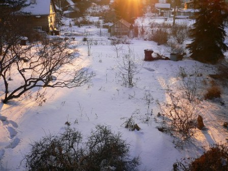 photo1