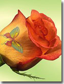 flower stickers 022s.jpg