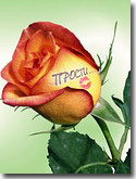 flower stickers 027s.jpg